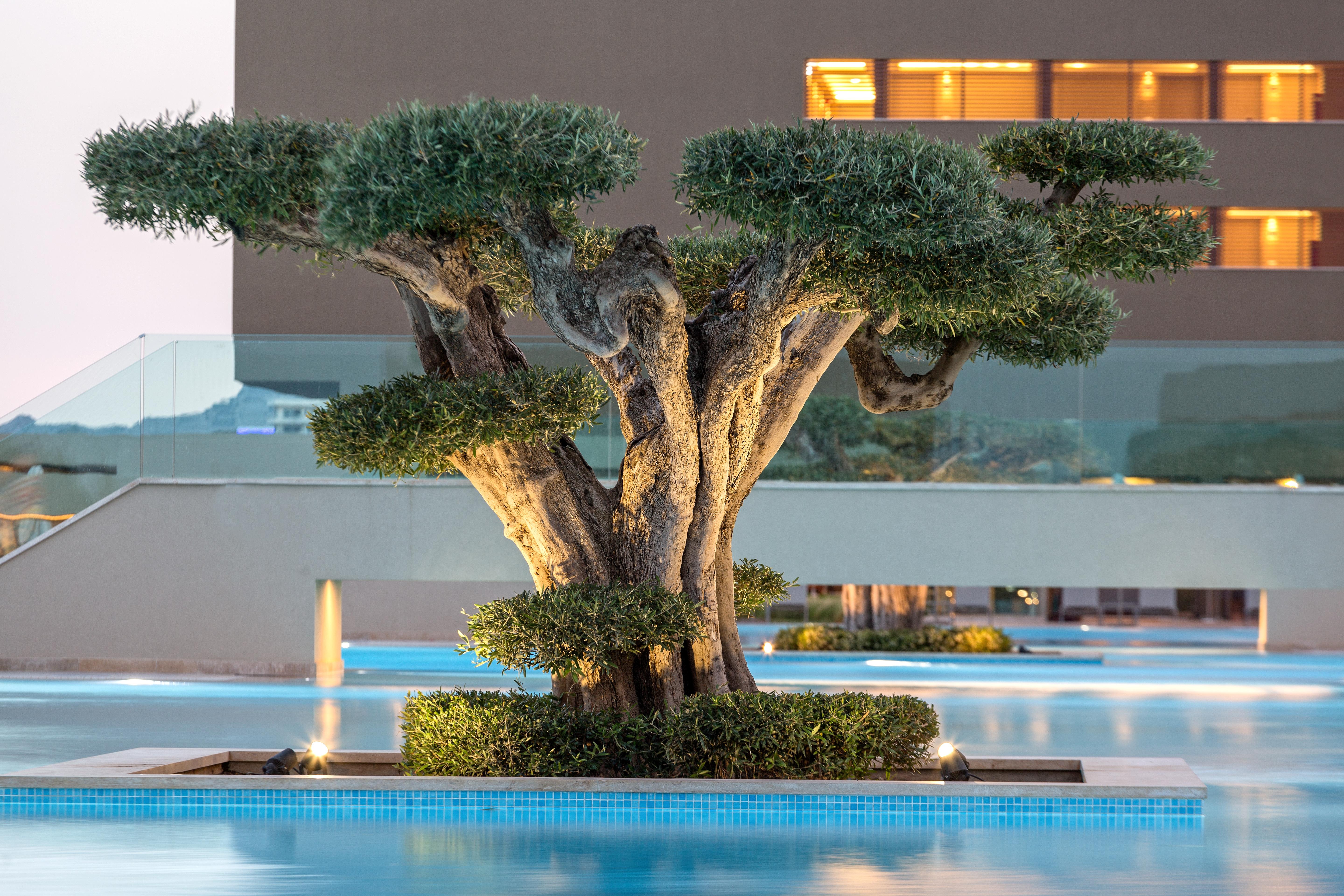 Amada Colossos Resort Faliraki Esterno foto